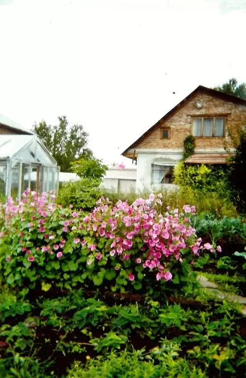 Дом в Кемеровский муниципальный округ, СНТ Промстроевец (81 м) - Фото 1