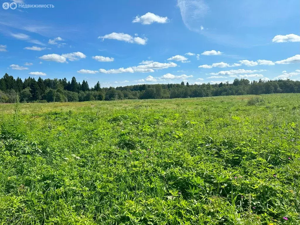 Участок в Московская область, городской округ Клин, деревня Елгозино ... - Фото 0