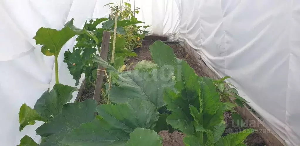 Дом в Башкортостан, Нуримановский район, Красногорский сельсовет, с. ... - Фото 2