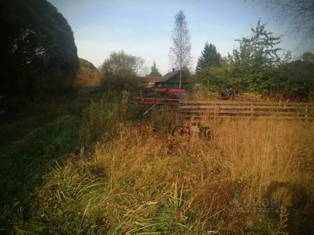 Участок в Новгородская область, Маловишерский район, Бургинское с/пос, ... - Фото 2
