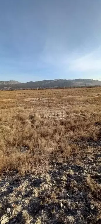 Участок в Бурятия, Иволгинский район, Сотниковское с/пос, с. ... - Фото 1