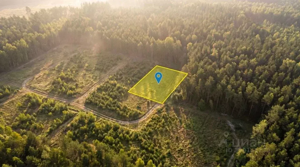 Участок в Рязанская область, Клепиковский муниципальный округ, д. ... - Фото 1