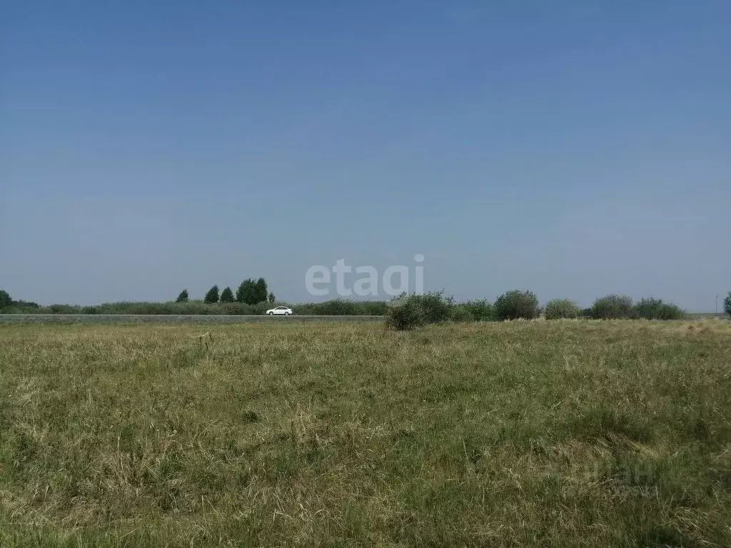 Участок в Челябинская область, с. Кунашак ул. Дружбы (12.6 сот.) - Фото 1