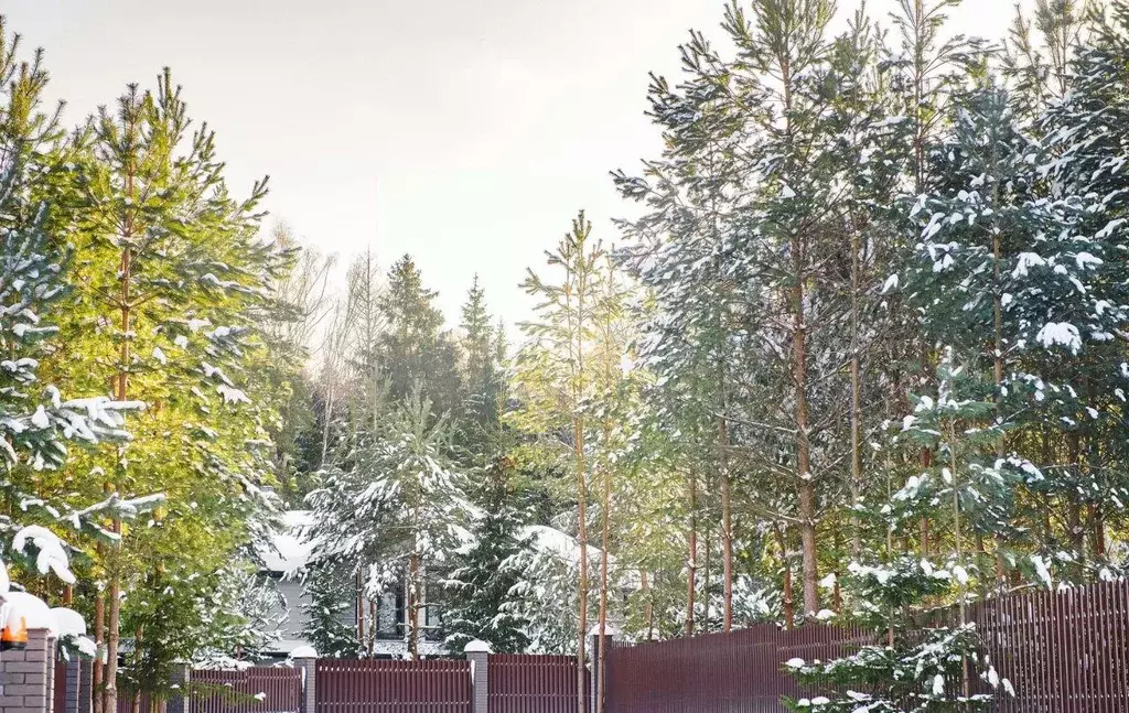 Участок, 11 сот., поселения (ижс) - Фото 2