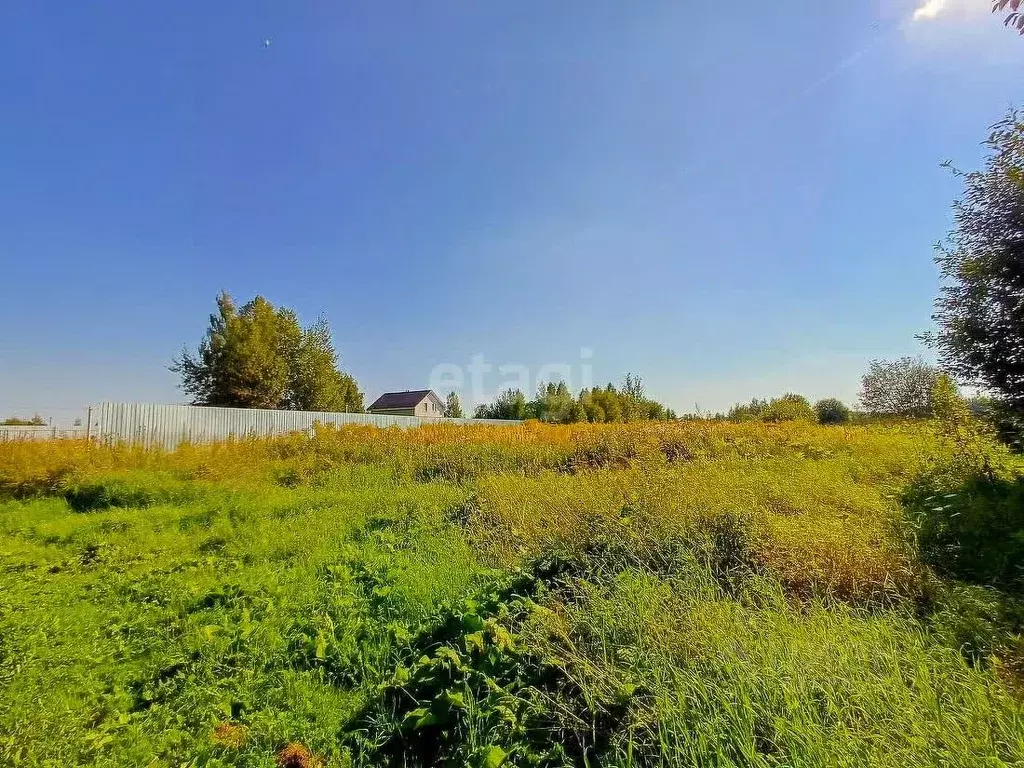 Участок в Ярославская область, Ярославский муниципальный округ, д. ... - Фото 1
