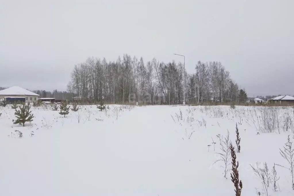 Участок в Тюменская область, Тюменский муниципальный округ, ... - Фото 1