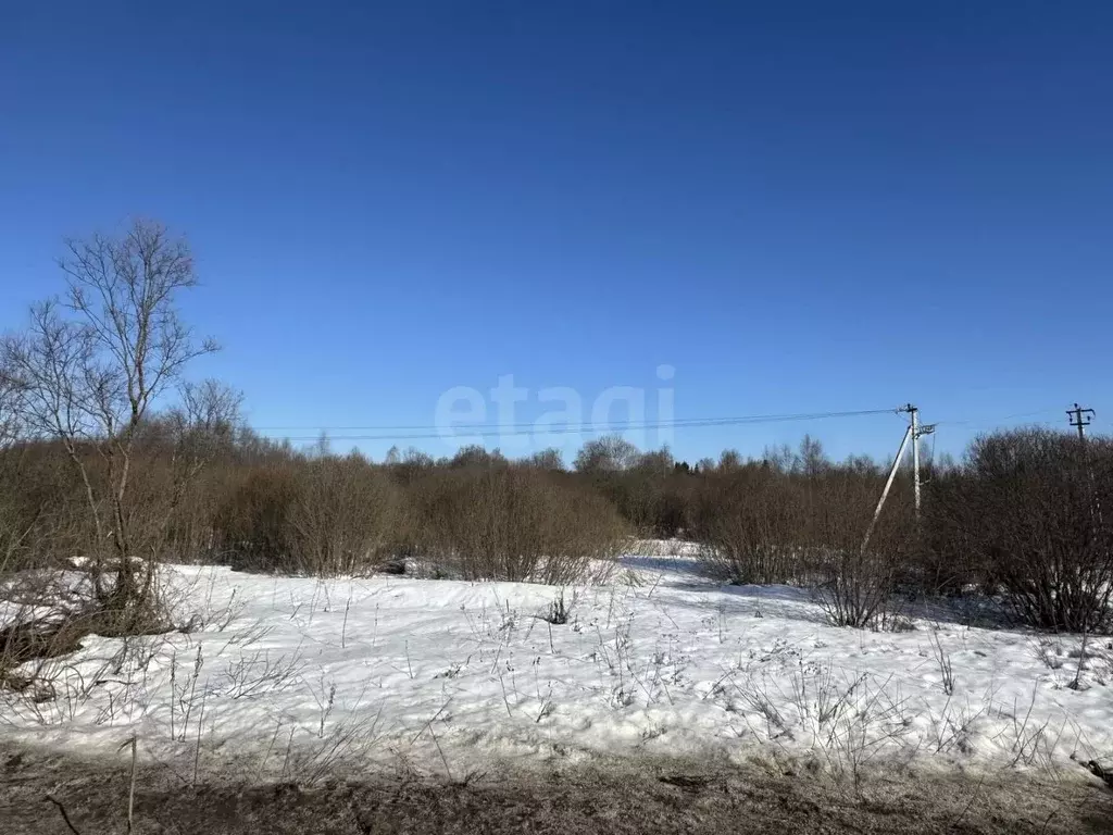 Участок в Ярославская область, Ярославский муниципальный округ, ... - Фото 1