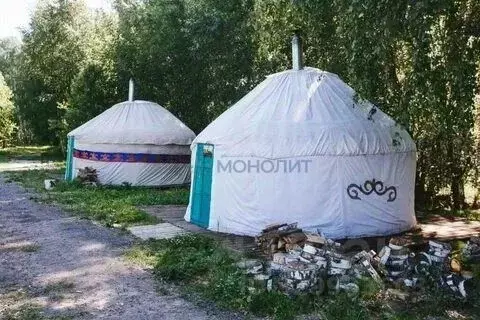 Участок в Нижегородская область, Нижний Новгород с. Шава, ул. ... - Фото 1