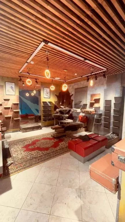 Помещение свободного назначения в Самарская область, Самара Полевая ... - Фото 1