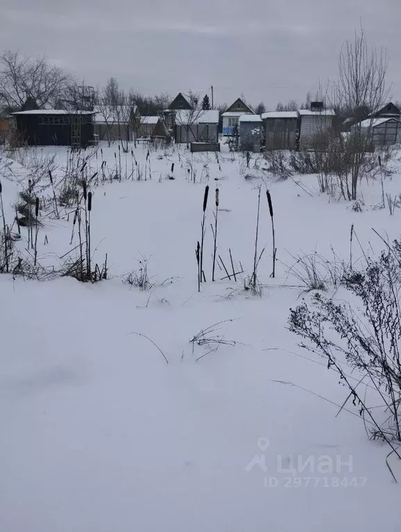 Дом в Псковская область, Великолукский муниципальный округ, Смородинка ... - Фото 2