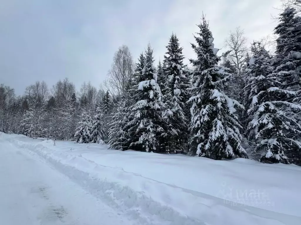Участок в Московская область, Наро-Фоминский городской округ, д. ... - Фото 2