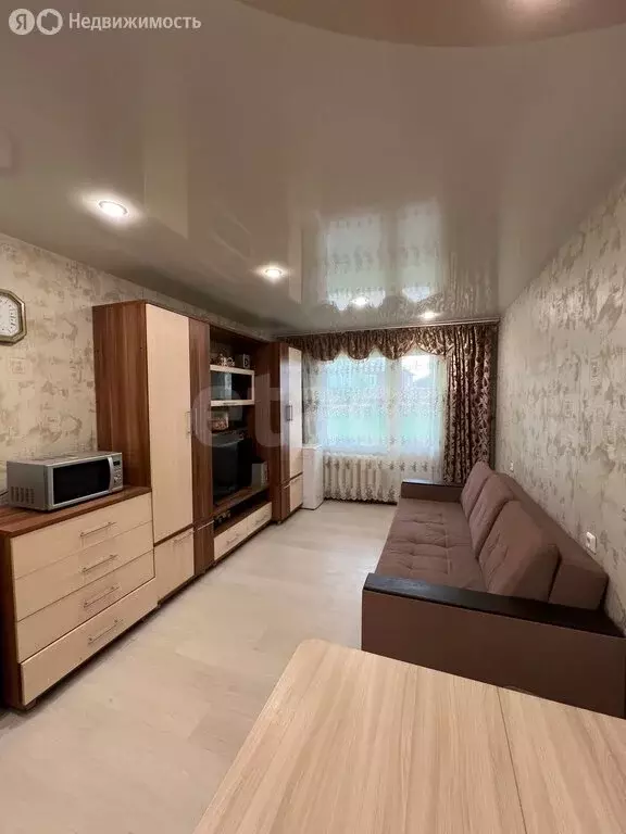 Квартира-студия: посёлок Садаковский, Московская улица, 53Б (25 м) - Фото 1
