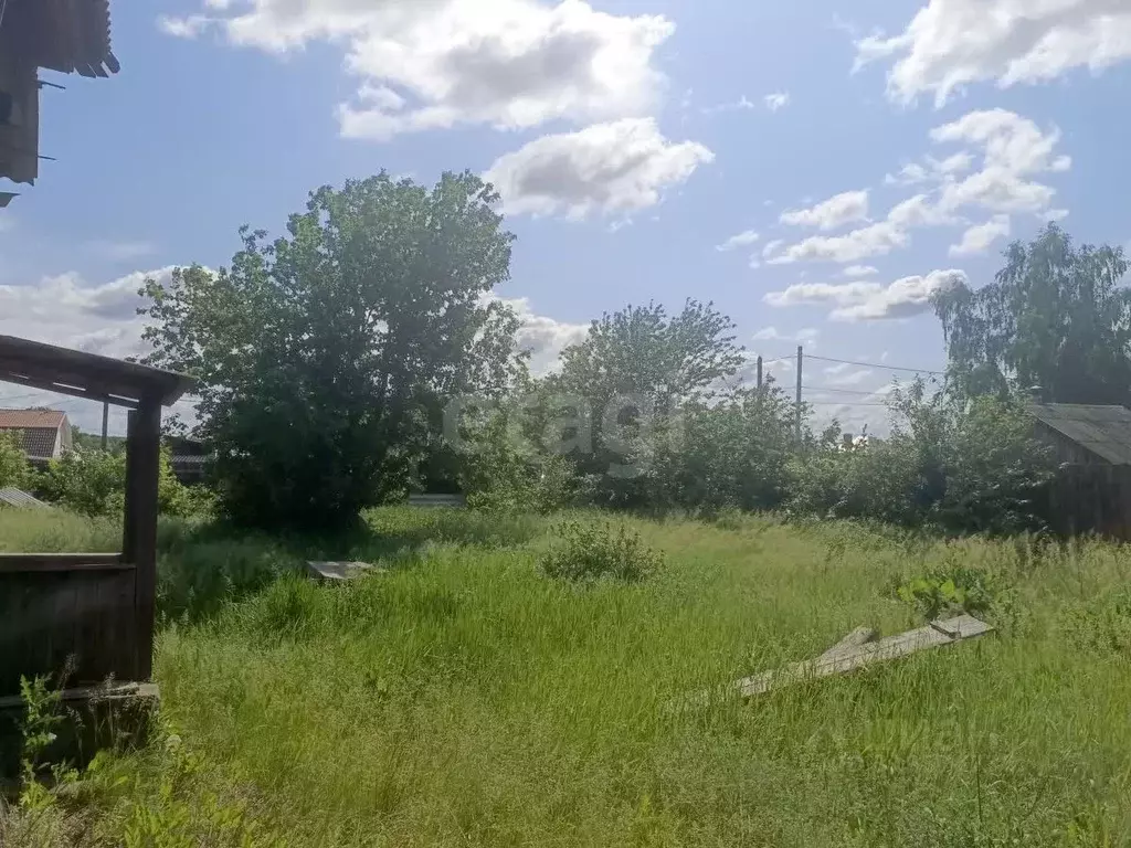 Участок в Нижегородская область, Выкса городской округ, Виля рп ул. ... - Фото 2