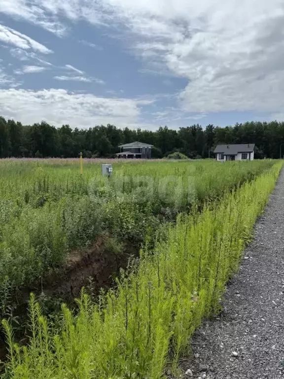 Участок в Тюменская область, Тюменский муниципальный округ, с. ... - Фото 0