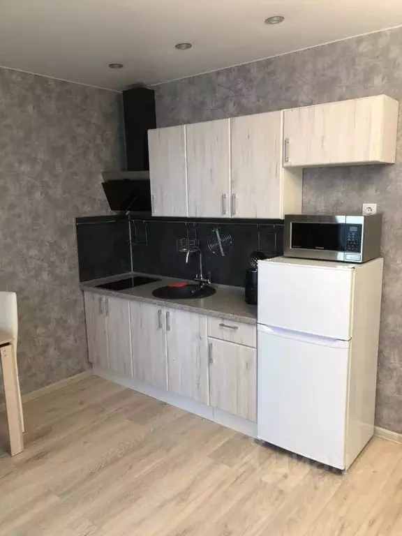 Студия Санкт-Петербург пос. Парголово, ул. Николая Рубцова, 3 (27.3 м) - Фото 1