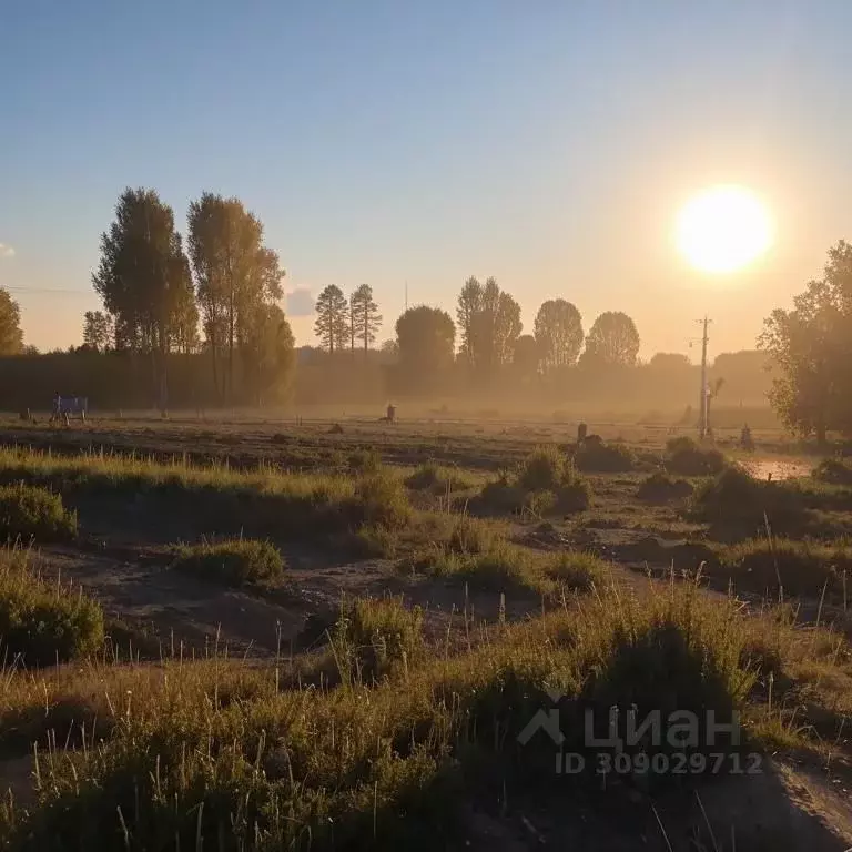 Участок в Костромская область, Волгореченск Рассвет СНТ, 199 (5.0 ... - Фото 0