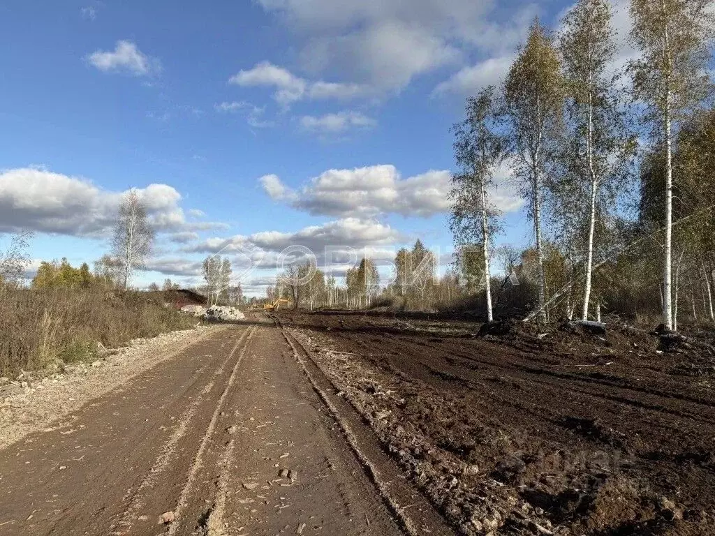 Участок в Тюменская область, Тюменский муниципальный округ, д. Большие ... - Фото 2