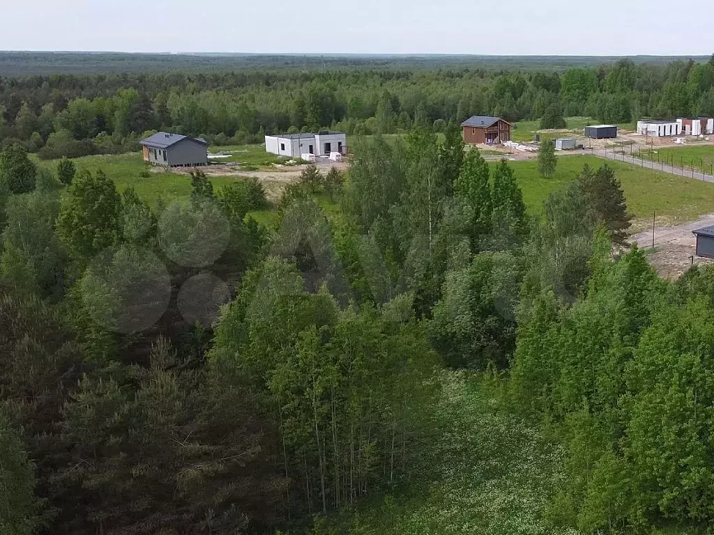 Участок 8,7 сот. (СНТ, ДНП) - Фото 1