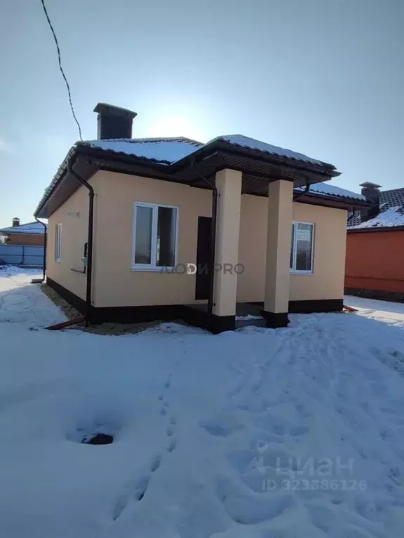 Дом в Воронежская область, с. Новая Усмань ул. Лазурная, 128 (90 м) - Фото 1