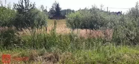 Участок в Ростовская область, Батайск Весна ДНТ, ул. 30-й Проезд (6.33 ... - Фото 2