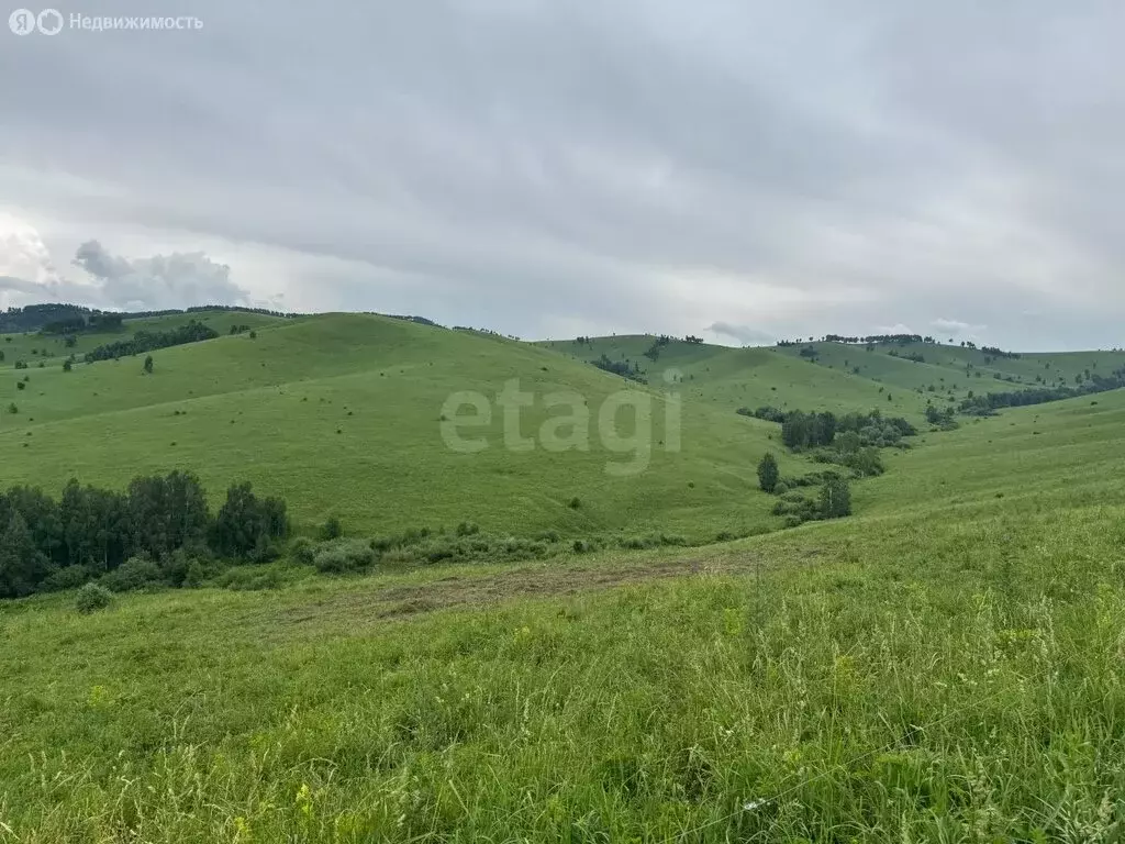 Участок в Алтайский район, ДНТ Жемчужина Алтая (9.6 м) - Фото 1