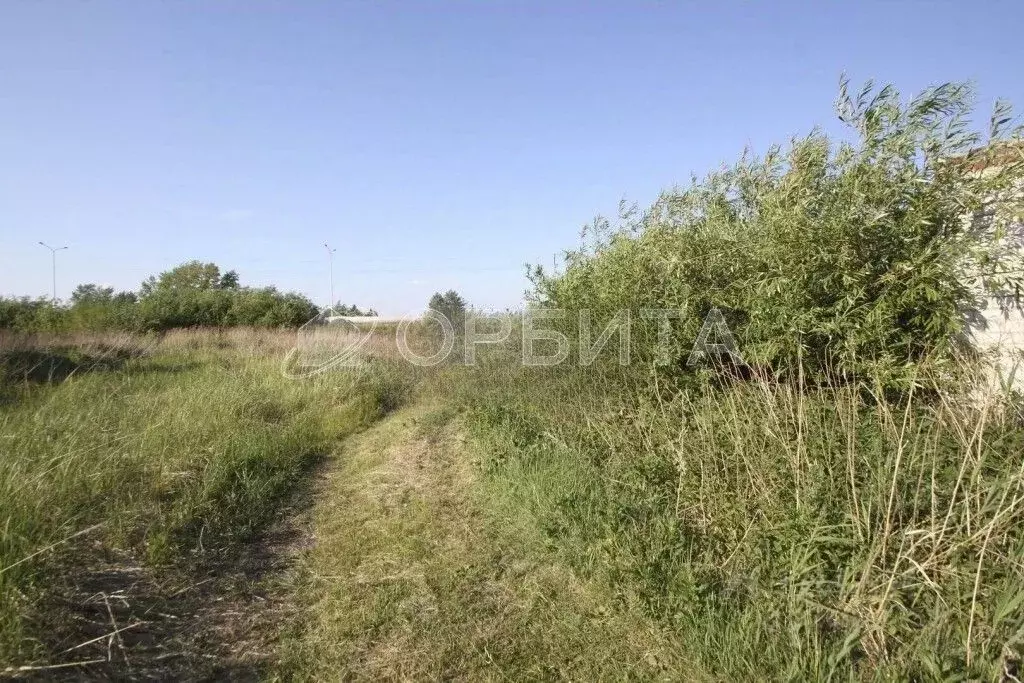 Участок в Тюменская область, Тюмень Рябинка-2 садовое товарищество, 2 ... - Фото 2