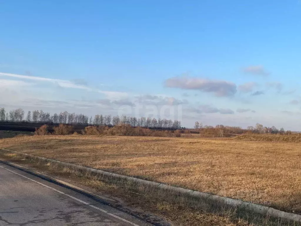 Участок в Тамбовская область, Тамбовский муниципальный округ, с. ... - Фото 1