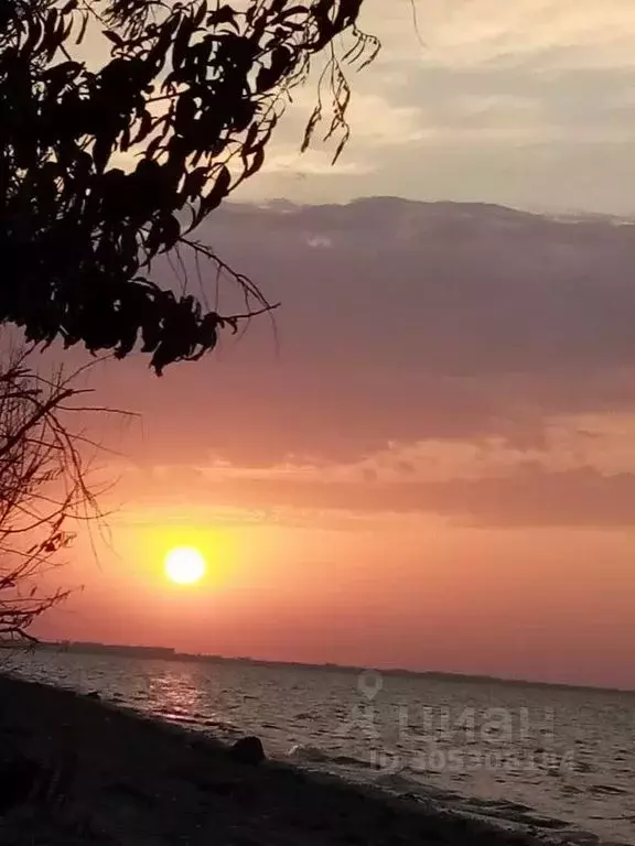 Комната Краснодарский край, Ейский район, Александровское с/пос, пос. ... - Фото 1