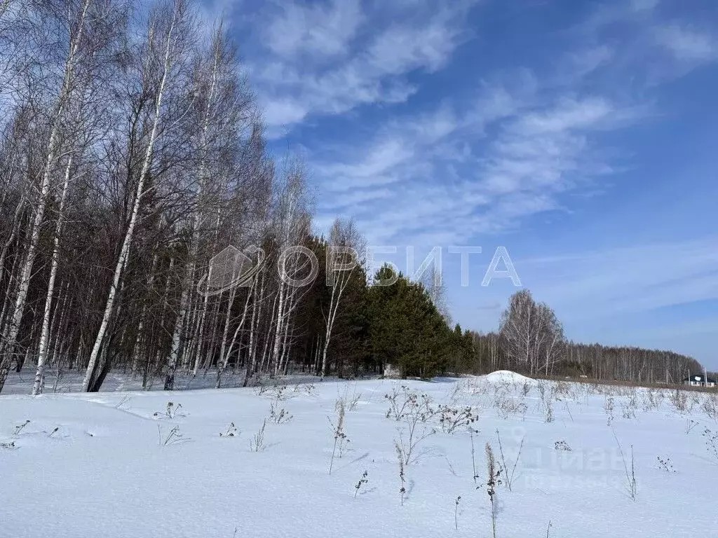 Участок в Тюменская область, Тюменский район, с. Кулига, Кулига-2 мкр  ... - Фото 0