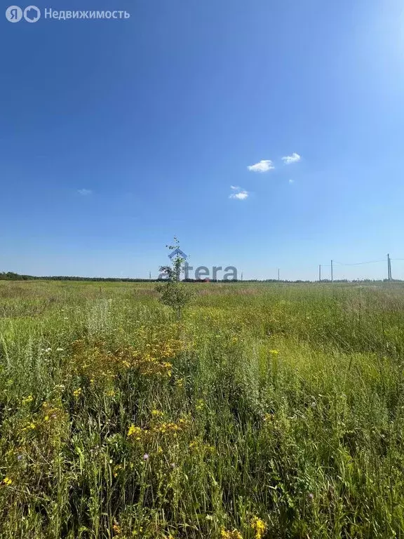 Участок в Лаишевский район, село Сокуры (6 м) - Фото 1