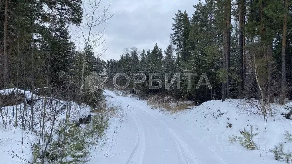 Участок в Тюменская область, Нижнетавдинский район, д. Штакульская  ... - Фото 0