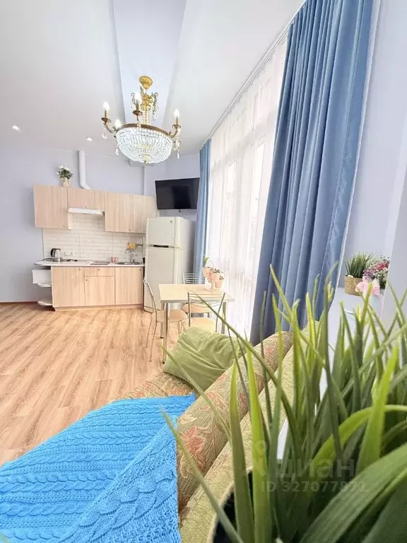 2-к кв. Краснодарский край, Сочи Виноградная ул., 121/6 (35.0 м) - Фото 1