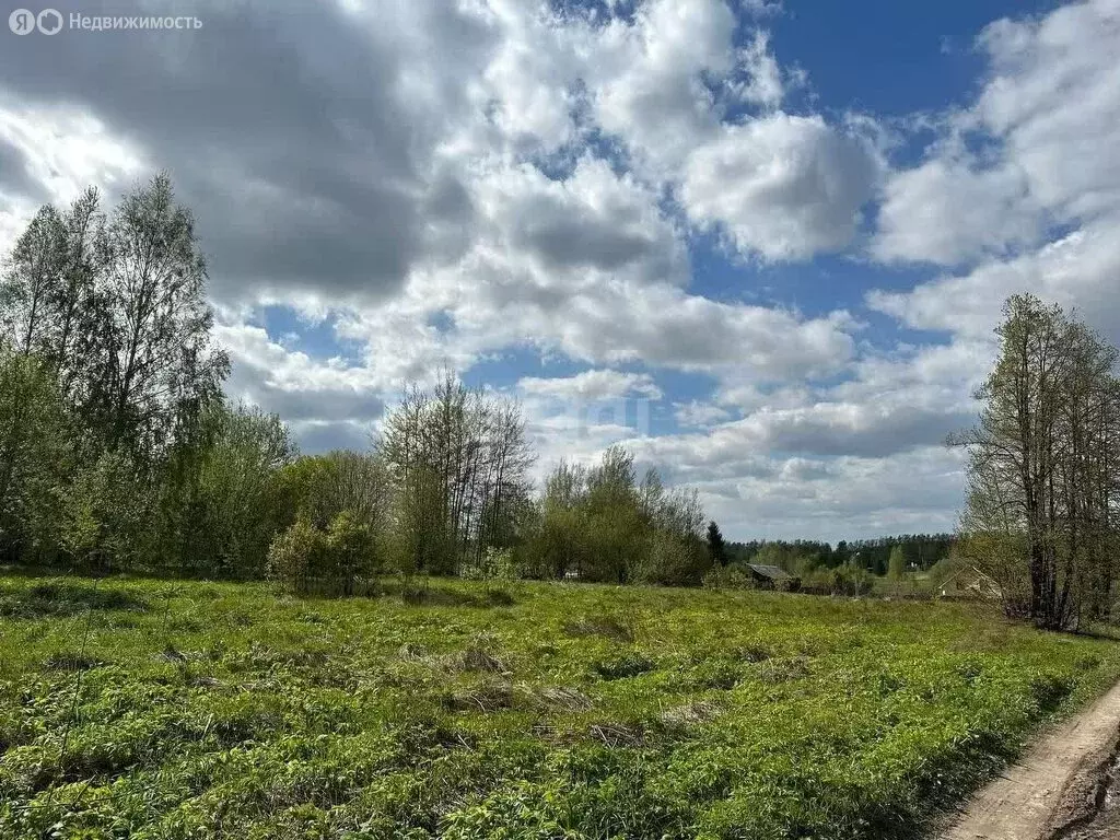 Участок в Нижегородская область, Кстовский муниципальный округ, село ... - Фото 1