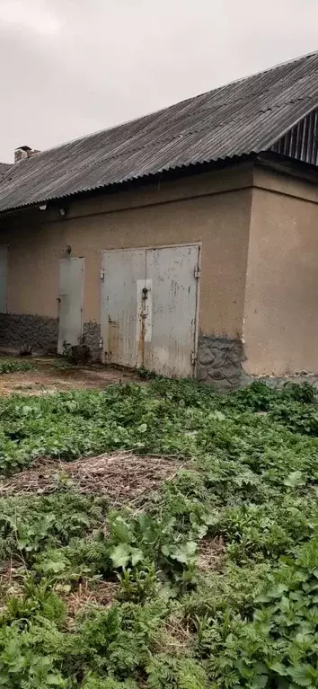 Дом в Тульская область, Тула городской округ, д. Струково ул. ... - Фото 2