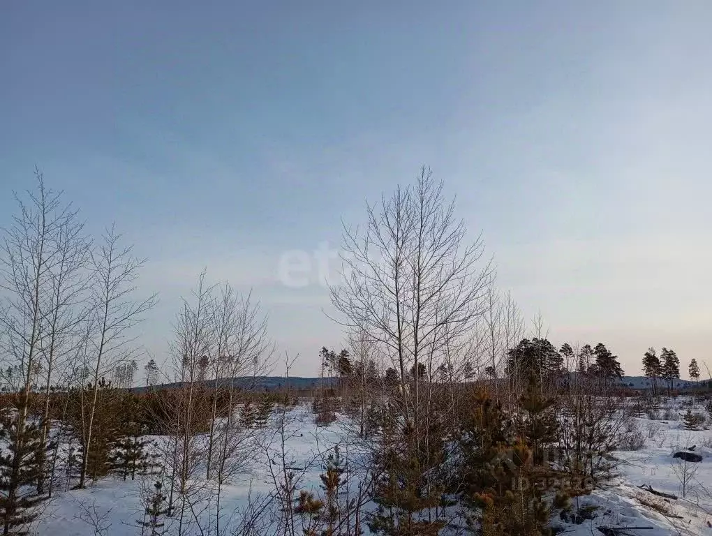 Участок в Забайкальский край, Читинский район, с. Смоленка  (7.68 ... - Фото 1