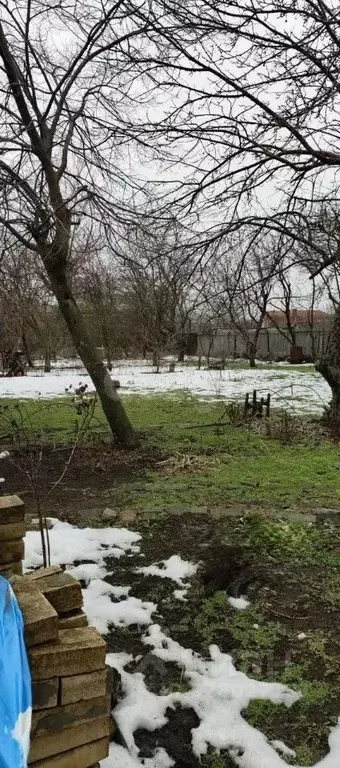 Участок в Ростовская область, Новочеркасск ул. Ларина, 83 (17.0 сот.) - Фото 2