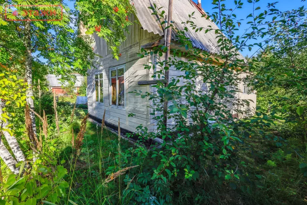 Дом в Деревянское сельское поселение, СНТ Мозаика, Мозаика-1 (60 м) - Фото 0
