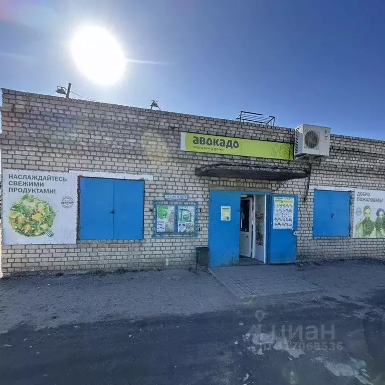 Помещение свободного назначения в Нижегородская область, Бор ул. ... - Фото 0