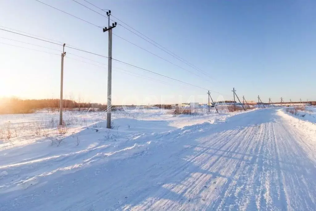 Участок в Тюменская область, Тюменский район, с. Горьковка  (15.0 ... - Фото 1