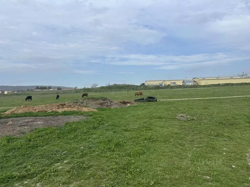 Участок в Крым, Бахчисарайский район, Долинненское с/пос, с. Новенькое ... - Фото 1