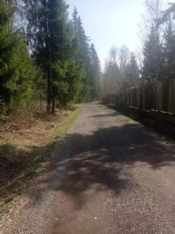 Участок, 8 сот., сельхоз (снт или днп) - Фото 1