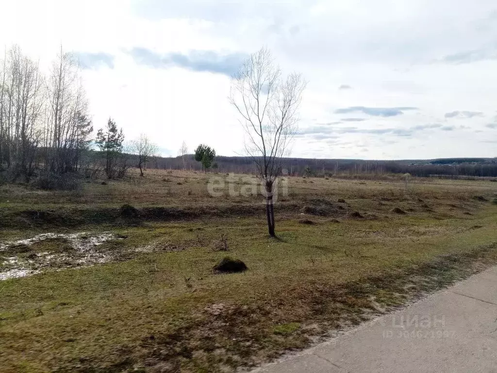 Участок в Нижегородская область, Богородский муниципальный округ, д. ... - Фото 0