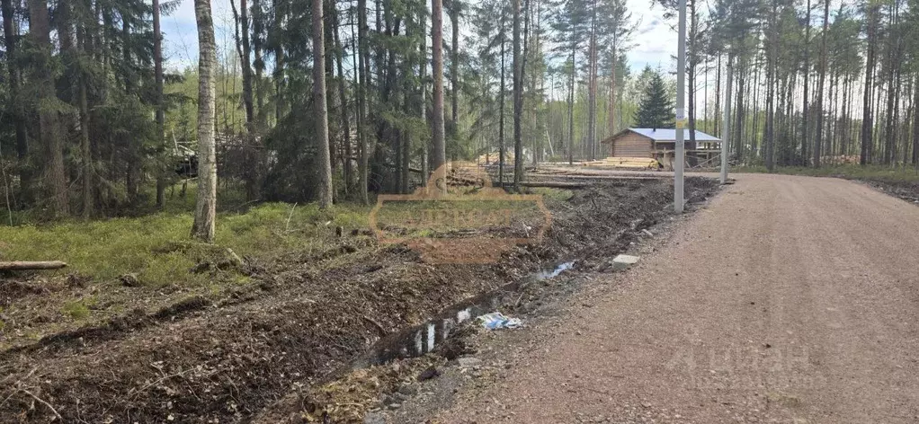 Участок в Ленинградская область, Всеволожский район, Бугровское ... - Фото 2