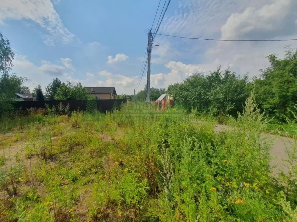 Участок в Саратовская область, Воскресенский район, Елшанское ... - Фото 2