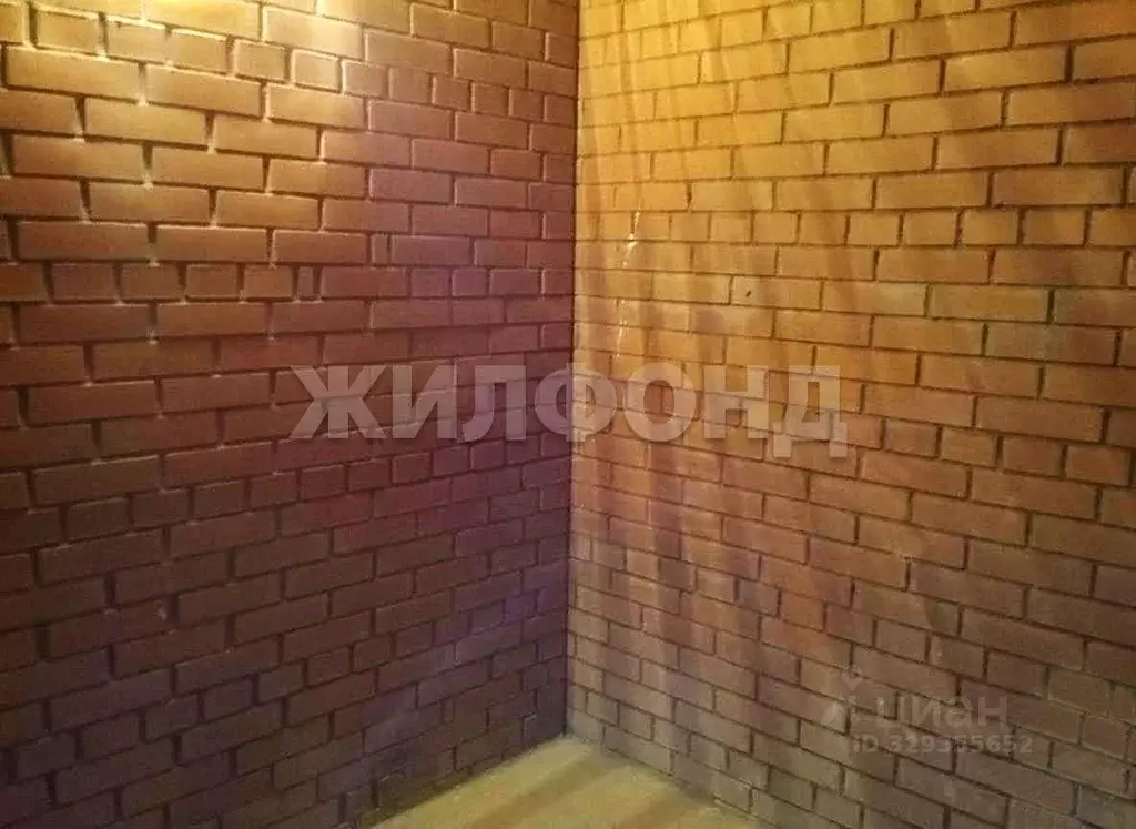 Гараж в Новосибирская область, Новосибирск ул. Дуси Ковальчук, 246 (3 ... - Фото 1