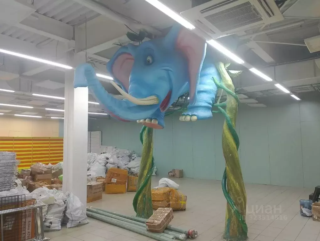 Торговая площадь в Владимирская область, Владимир ул. Верхняя Дуброва, ... - Фото 1