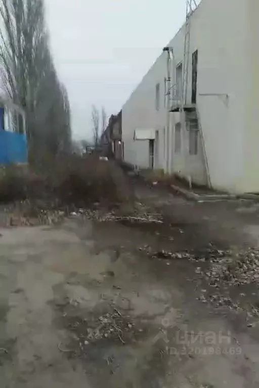 Помещение свободного назначения в Воронежская область, Воронеж ... - Фото 1