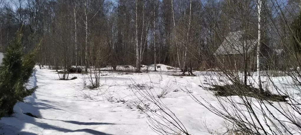 Участок в Московская область, Раменский муниципальный округ, Клевер ... - Фото 0