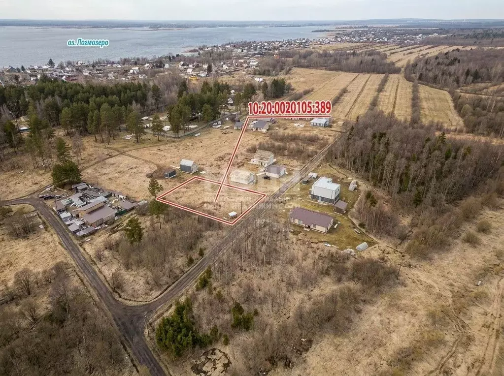 Участок в Карелия, Прионежский район, с. Заозерье Новоручейная ул. ... - Фото 1