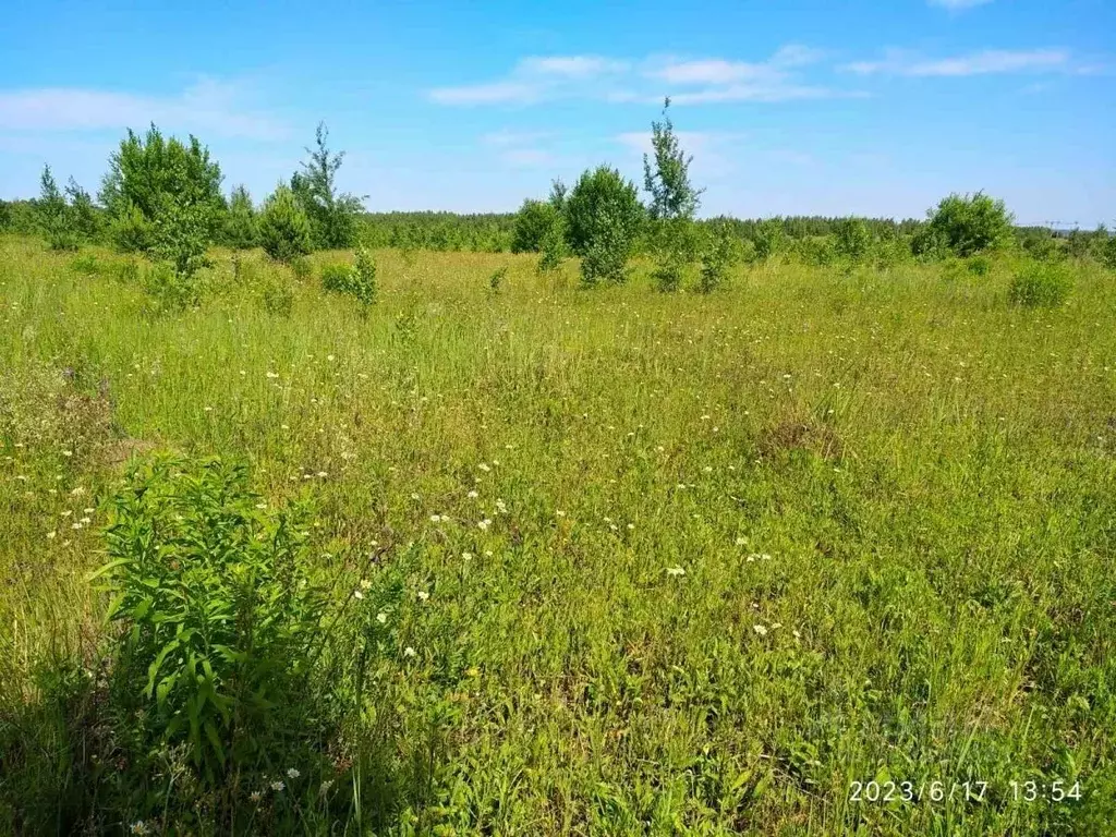 Участок в Нижегородская область, Сосновский муниципальный округ, д. ... - Фото 2